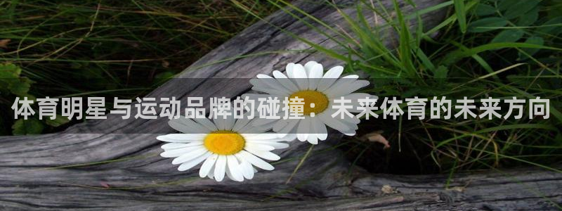 77体育