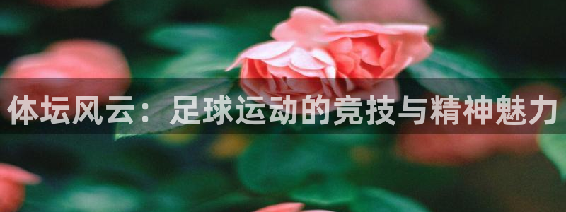 皇冠277体育