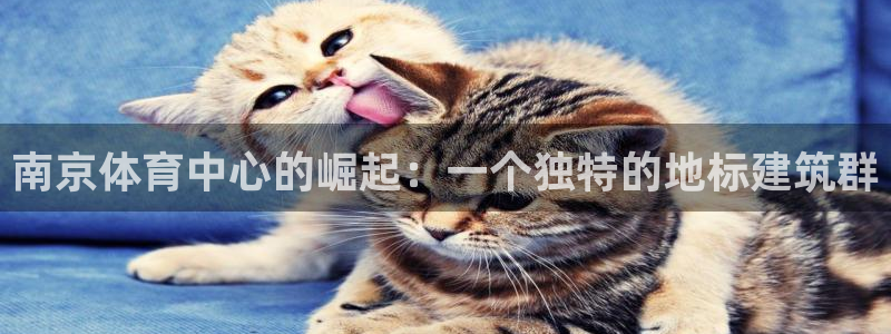 77体育