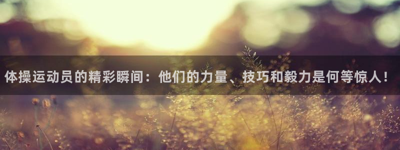 77体育app下载官网