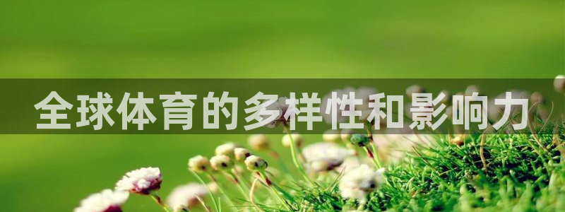 77体育官网