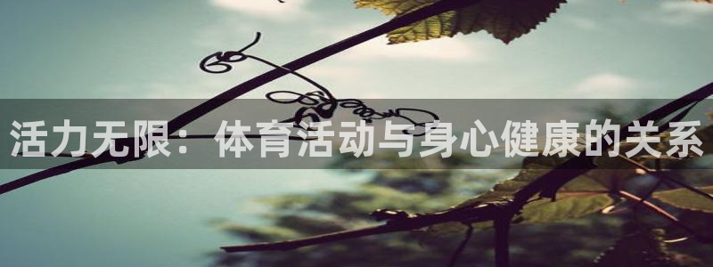 77体育
