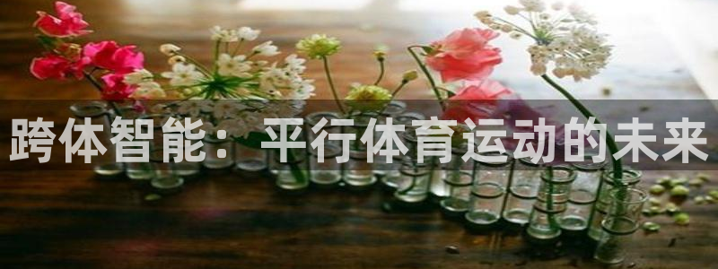 77体育app下载官网