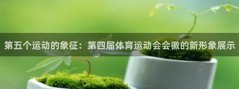 77体育官网