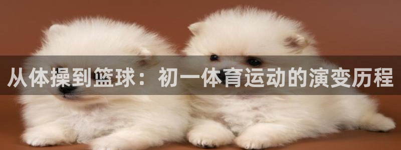 77体育app下载官网