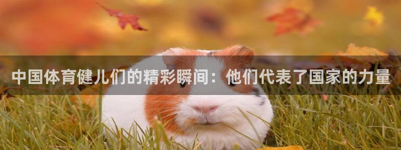 77体育app下载官网