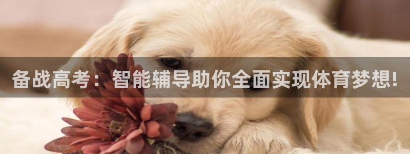 77体育官网
