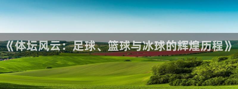 77体育